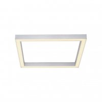 PAUL NEUHAUS PURE-LINES, LED stropn� sv�tidlo, hlin�k, r�m, 55x55cm, 2700-5000K 6022-95