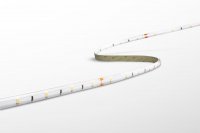 CENTURY LED pásek ACCENTO 4,8W/m STRIP 30Led 3m 6000K IP65 KIT CENTURY LED pásek ACCENTO 4,8W/m STRIP 30Led 3m 6000K IP65 KIT