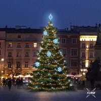 LED světelná sada na stromy vysoké 9-11m, teplá bílá s Flash, ledové dekory EFD01 LED světelná sada na stromy vysoké 9-11m, teplá bílá s Flash, ledové dekory EFD01