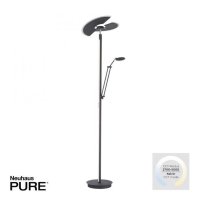 PAUL NEUHAUS PURE Mutil LED stojac� lampa osv�tlen� stropu antracit se �tec� lampou stm�vateln� 2700-5000K PN 678-13