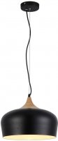 AZzardo AZ1331 závěsné svítidlo Parma černá AZzardo AZ1331 závěsné svítidlo Parma černá