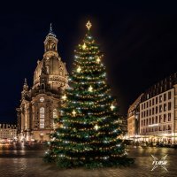 LED světelná sada na stromy vysoké 18-20m, teplá bílá s Flash, dekory EFD15WS3 LED světelná sada na stromy vysoké 18-20m, teplá bílá s Flash, dekory EFD15WS3