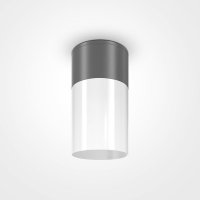 MAYTONI Stropn� sv�tidlo Willis O418CL-01GR