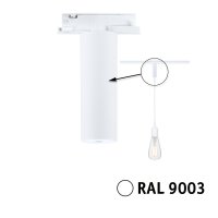 PAULMANN URail univerzální adaptér pro závěs max. 50W 230V bílá PAULMANN URail univerzální adaptér pro závěs max. 50W 230V bílá