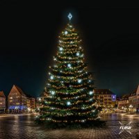 LED světelná sada na stromy vysoké 21-23m, teplá bílá s Flash, ledové dekory EFD01 LED světelná sada na stromy vysoké 21-23m, teplá bílá s Flash, ledové dekory EFD01