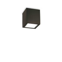 Venkovn� stropn� p�isazen� sv�tidlo Ideal Lux TECHO PL1 SMALL NERO 251578 GU10 1x20W IP54 9cm �ern�