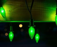 LED VENKOVN� souprava �i�ka zelen�, mo�nost prodlou�en�, �ern� kabel� + nap�jec� trasform�tor