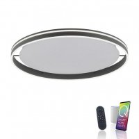 PAUL NEUHAUS Q-VITO, LED stropn� sv�tidlo, Smart Home, pr�m�r 79,4cm ZigBee 2700-5000K PN 8418-13