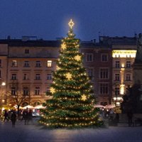 LED sv�teln� sada na stromy vysok� 9-11m, tepl� b�l� s dekory EFD05W