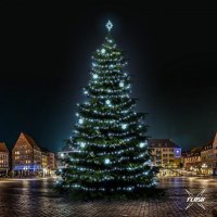 LED světelná sada na stromy vysoké 21-23m, ledová bílá s Flash, dekory EFD01 LED světelná sada na stromy vysoké 21-23m, ledová bílá s Flash, dekory EFD01