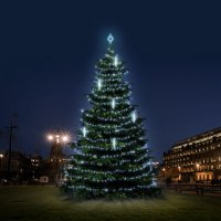 LED sv�teln� sada na stromy vysok� 12-14m, ledov� b�l� s padaj�c�m sn�hem