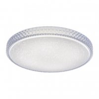 PAUL NEUHAUS LED stropn� sv�tidlo, kruhov�, transparentn� 2700-5000K LD 14372-00