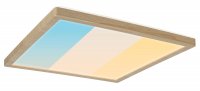 PAULMANN LED Panel Atria Shine IP44 hranat� 298x298mm 15,7W CCT design d�evo dub