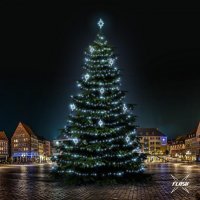 LED světelná sada na stromy vysoké 21-23m, ledová bílá s Flash, dekory EFD09S2 LED světelná sada na stromy vysoké 21-23m, ledová bílá s Flash, dekory EFD09S2