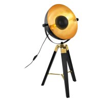 EGLO Stoln� sv�tidlo COVALEDA 49617