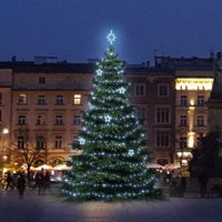 LED světelná sada na stromy vysoké 6-8m, ledová bílá s dekory EFD11 LED světelná sada na stromy vysoké 6-8m, ledová bílá s dekory EFD11