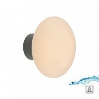 PAUL NEUHAUS LED venkovn� n�st�nn� a stropn� sv�tidlo �ed� 3000K PN 9468-15