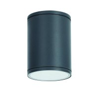 ACA Lighting E27 PAR30 venkovn� kulat� stropn� sv�tidlo 230V tmav� �ed� IP65 MAX.35W LG2302E27G