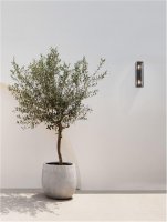 NOVA LUCE venkovn� n�st�nn� sv�tidlo REGINA antracitov� hlin�k a �ir� sklo E27 2x12W 220-240V bez ��rovky IP65 9492442