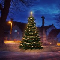 LED světelná sada na stromy vysoké 3-5m, teplá bílá LED světelná sada na stromy vysoké 3-5m, teplá bílá