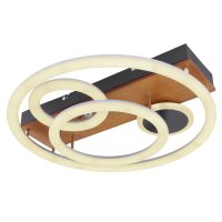 GLOBO DARRYL 67265-55 Stropn� sv�tidlo