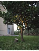 NOVA LUCE venkovn� sloupkov� sv�tidlo FOX tmav� �ed� p�skovec sklen�n� difuzor GU10 1x7W 100-240V bez ��rovky IP65 9470581