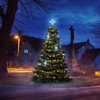 LED světelná sada na stromy vysoké 3-5m, teplá bílá s ledově bílými dekory EFD15S1 LED světelná sada na stromy vysoké 3-5m, teplá bílá s ledově bílými dekory EFD15S1