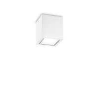 Venkovn� stropn� p�isazen� sv�tidlo Ideal Lux TECHO PL1 SMALL BIANCO 251561 GU10 1x20W IP54 9cm b�l�