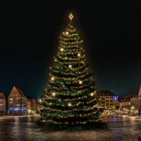 LED světelná sada na stromy vysoké 21-23m, teplá bílá s dekory EFD02W LED světelná sada na stromy vysoké 21-23m, teplá bílá s dekory EFD02W