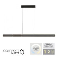 PAUL NEUHAUS LED z�v�sn� sv�tidlo ADRIANA �ern� nastaviteln� v��ka CCT 2700-5000K PN 2577-18