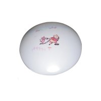 ACA Lighting 501-Y254 d�tsk� stropn� sv�tidlo D30 358501Y25432