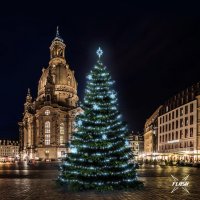 LED světelná sada na stromy vysoké 15-17m, ledová bílá s Flesh, dekory EFD05 LED světelná sada na stromy vysoké 15-17m, ledová bílá s Flesh, dekory EFD05