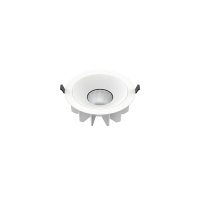 BIG WHITE (SLV) DOWNLIGHT P 230 40 WM 840 60 ML DALI WH IP54 1010768