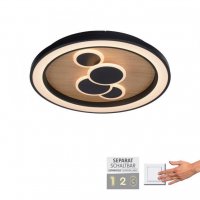 PAUL NEUHAUS LED stropn� sv�tidlo kruhov� d�evo p��rodn� dub nastaviteln� sc�ny vyp�na�em 3000K PN 6284-79