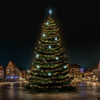 LED světelná sada na stromy vysoké 21-23m, teplá bílá s ledově bílými dekory EFD01 LED světelná sada na stromy vysoké 21-23m, teplá bílá s ledově bílými dekory EFD01