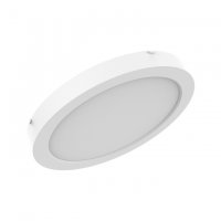 LEDVANCE DL UNIV DA D300 V 22W ML 83040 WT 4099854541377